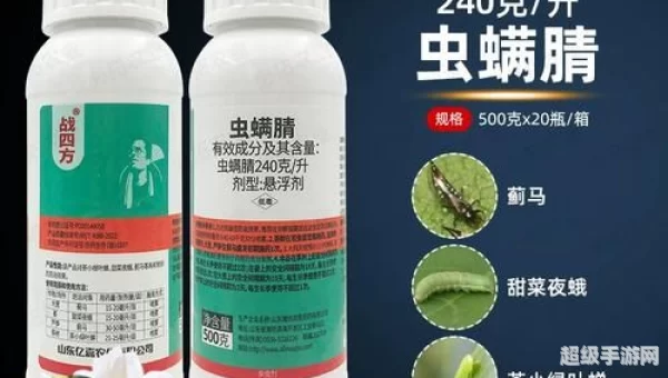 战四方