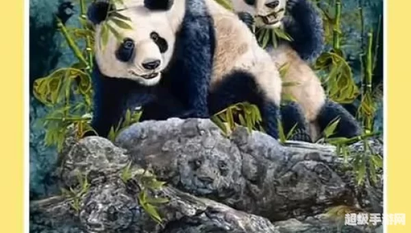找熊猫