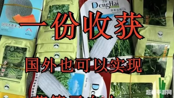 种子地址