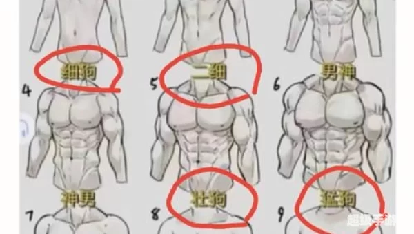 细狗网络用语什么意思