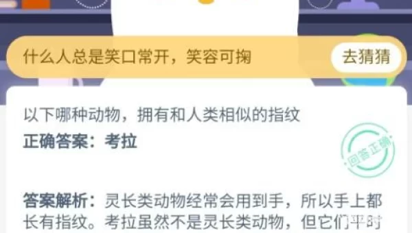 什么动物拥有和人类相似的指纹