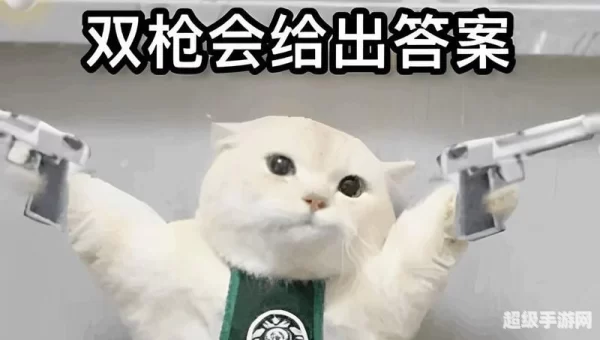 双枪会给出答案图片