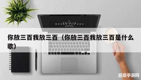 我放300你放300