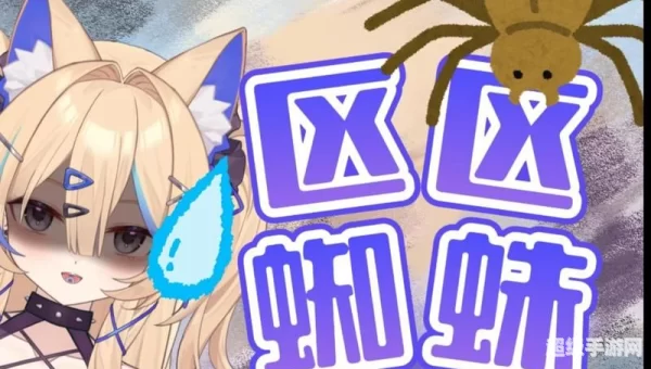 区区蜘蛛