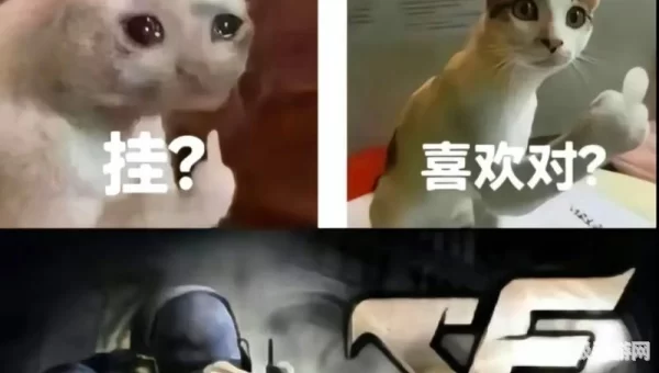 穿越火线搞笑视频