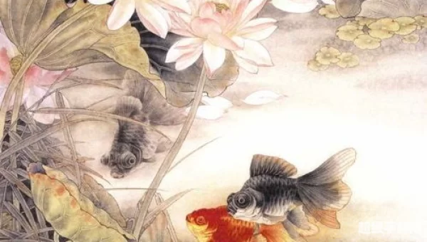 花香金鱼