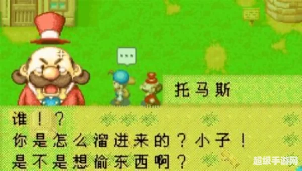 牧场物语矿石镇