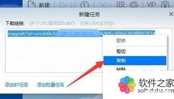 2017迅雷最新种子网站