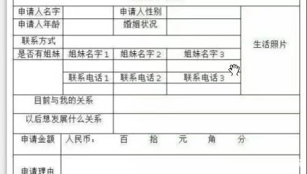 红包申请表